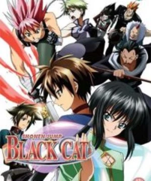 Black Cat (TV)