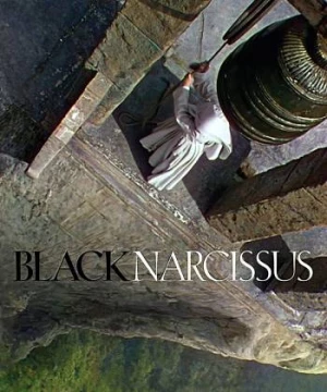 Black Narcissus