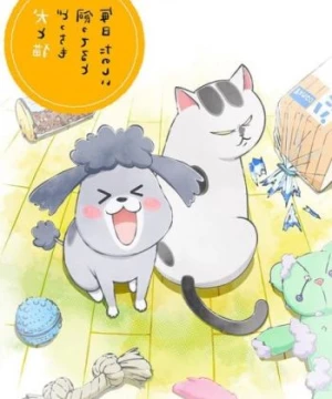 Inu to Neko Docchi mo Katteru to Mainichi Tanoshii