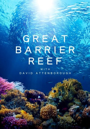 Khám Phá Rạn San Hô Great Barrier cùng David Attenborough