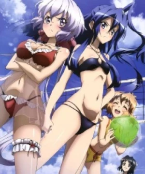 Senki Zesshou Symphogear G: Senki Zesshou Shinai Symphogear