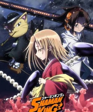 Shaman King: Vua pháp thuật